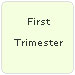 First Trimester Pregnancy