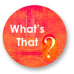 Pregnancy Whats That